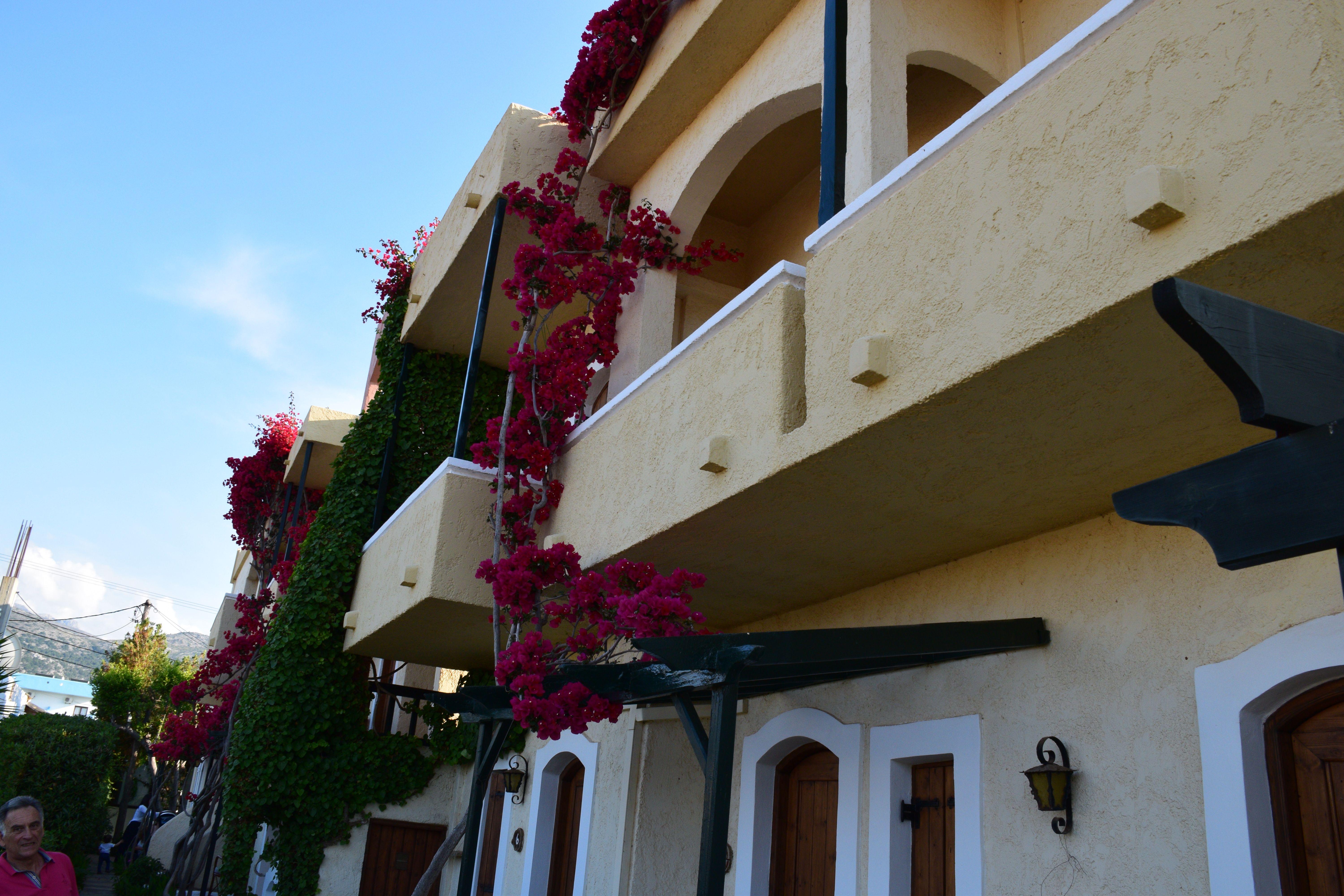 Mila Malia Studios Hotel Eksteriør bilde