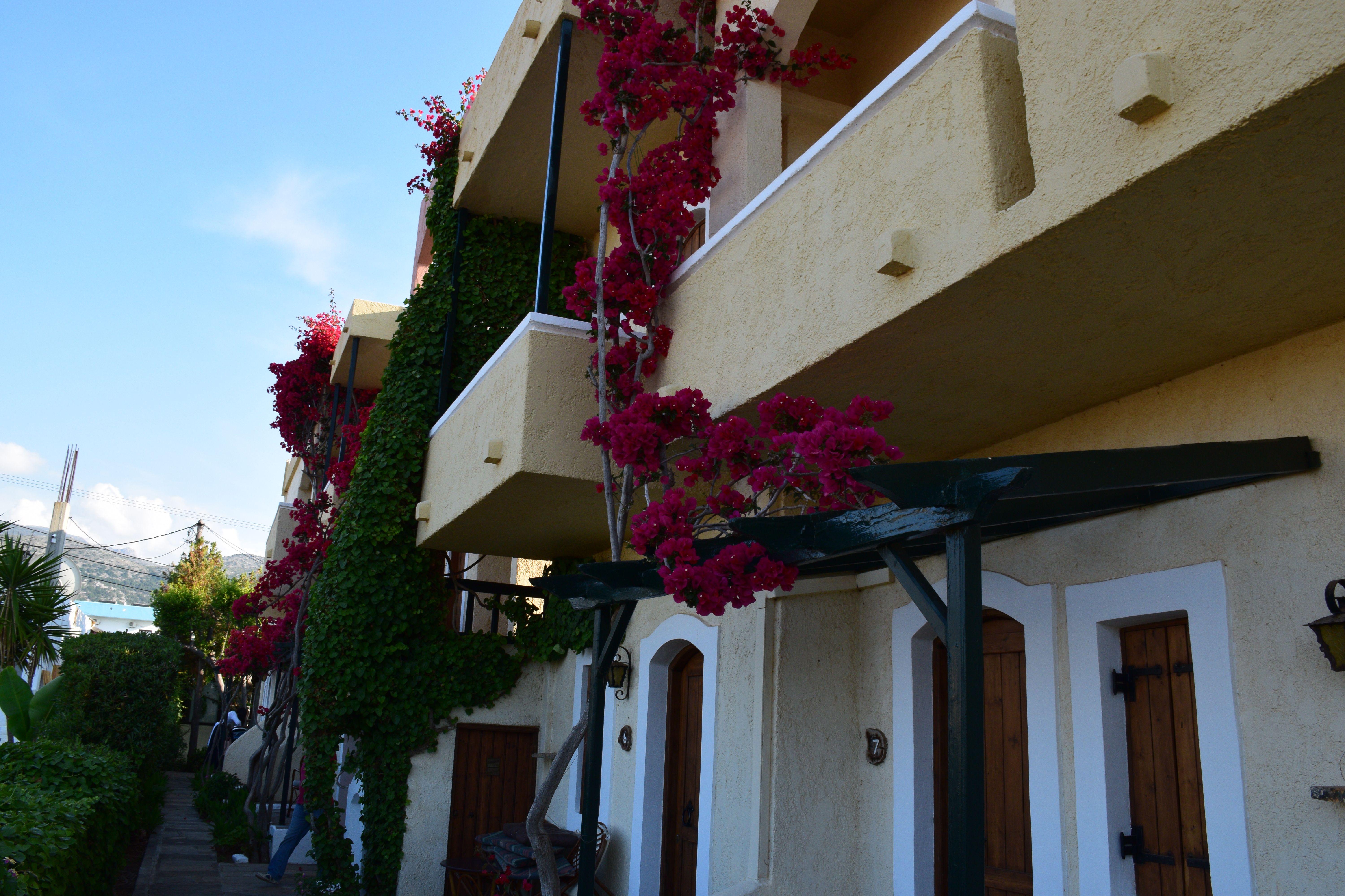 Mila Malia Studios Hotel Eksteriør bilde