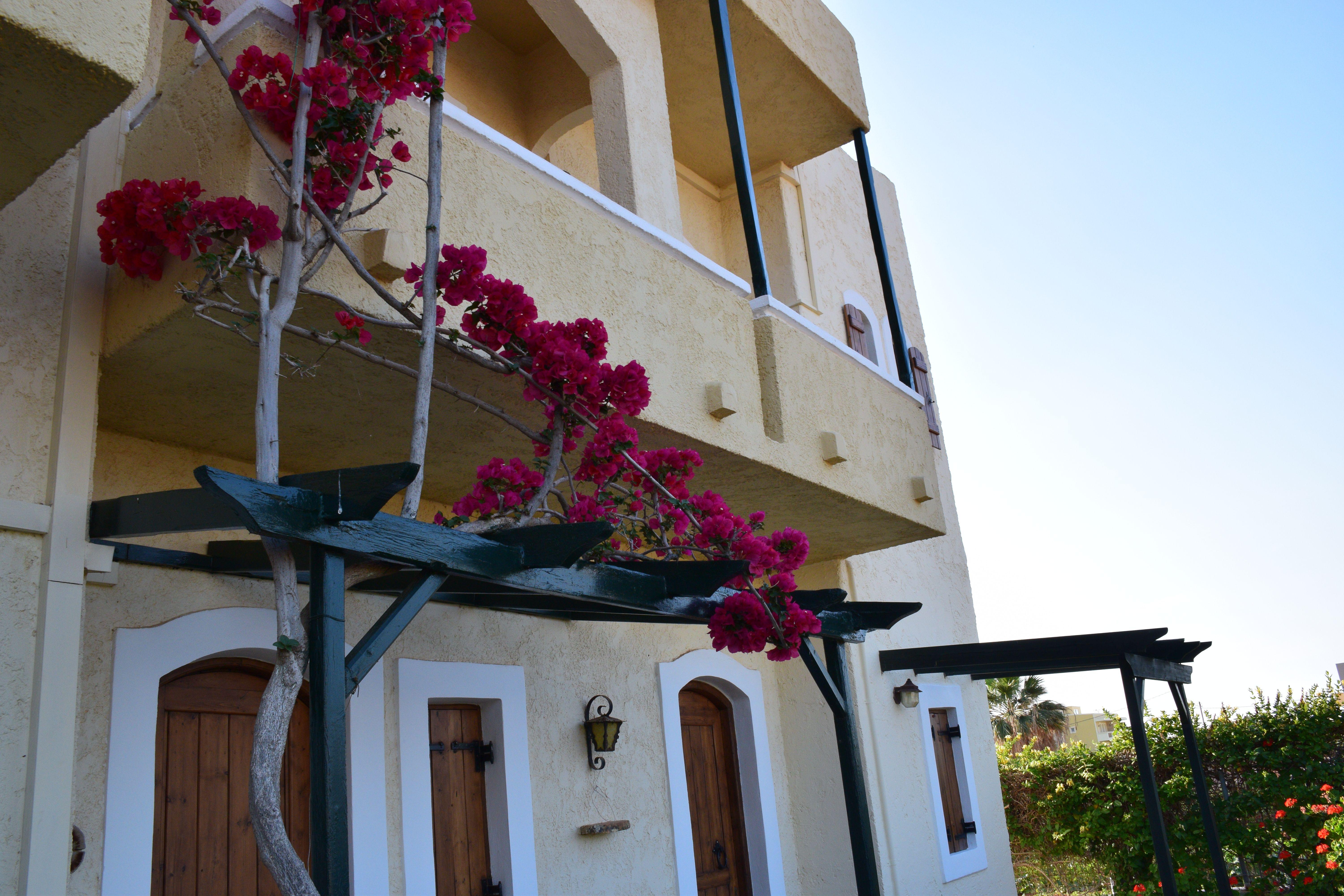 Mila Malia Studios Hotel Eksteriør bilde